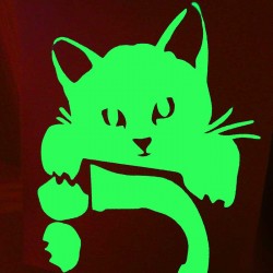 Stickers chat mignon : un sticker mural fluorescent