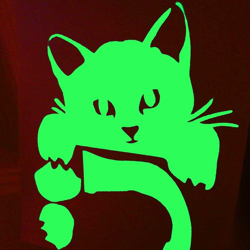 Sticker Phosphorescent Interrupteur, autocollant lumineux mignon de vinyle  de commutateur de lumière avec la fée de chien de chat pour le salon lueur  dans les autocollants d'étoiles sombres (8 pièces) : 