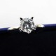 Bague en Argent 925 Chat Zircone