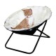 Chaise deco pour chat Sharon