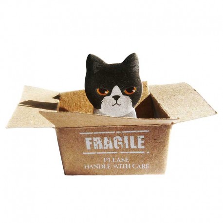 Memo kawaii Chat dans un Carton