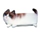 Trousse originale Chaton Frimousse