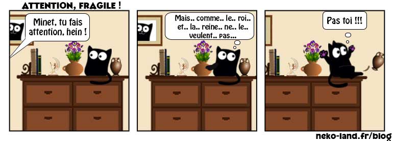 BD avec un chat