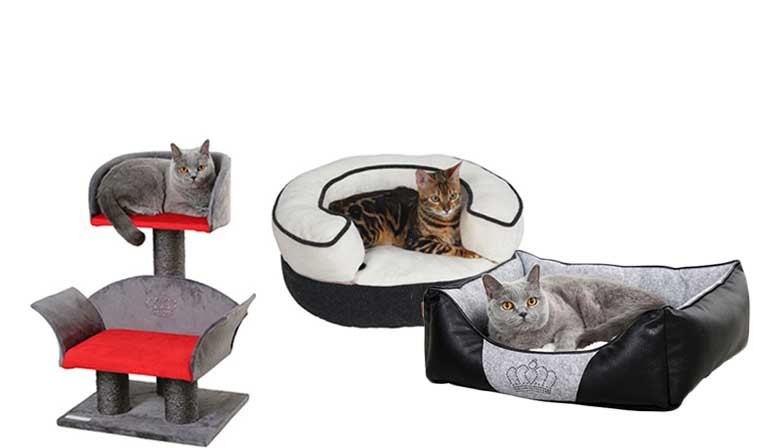 Couchage de luxe et Canapé pour chat