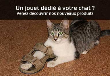 Un jouet dédié à votre chat ?