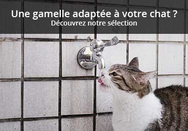 A la recherche d'une gamelle adaptée à votre chat ?