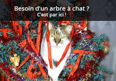 Un arbre à chat pour Noël ?